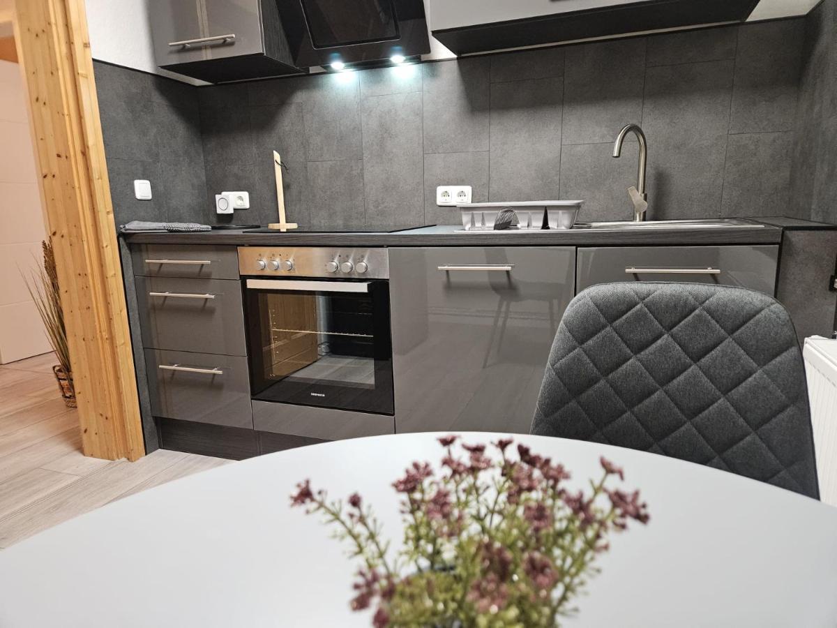 Fewo Am See, Ferienhaus, 7 Schlafzimmer, Waschmaschine, Businesswohnung سالزجيتر المظهر الخارجي الصورة